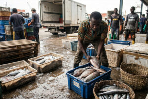 Imagejpg - Windek Fisheries Limited